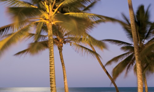 Punta Cana - Zoëtry Agua Punta Cana